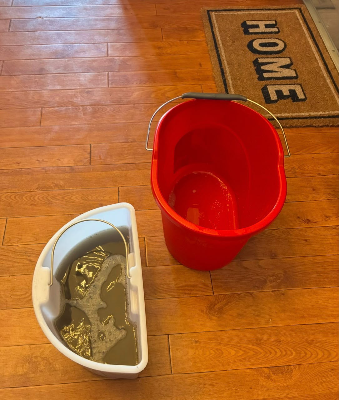 Recovered cleaning water in a white container beside a red bucket
